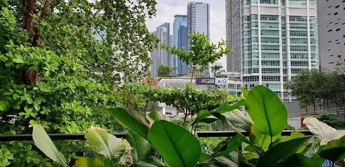 جی هتل بای دورست